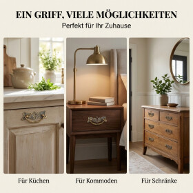 Art Nouveau Möbelgriffe