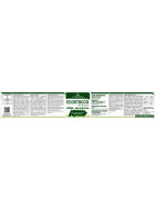 Holzkitt Stark 200gr -  Buche - 42
