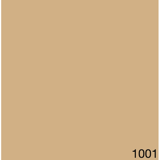 1001