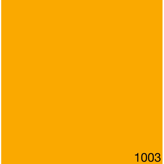 1003