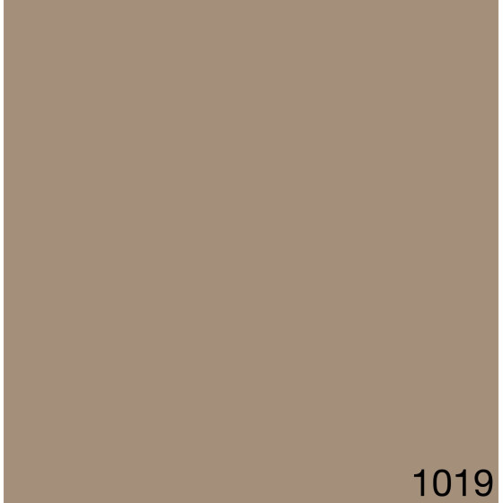 1019