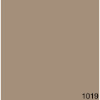 1019