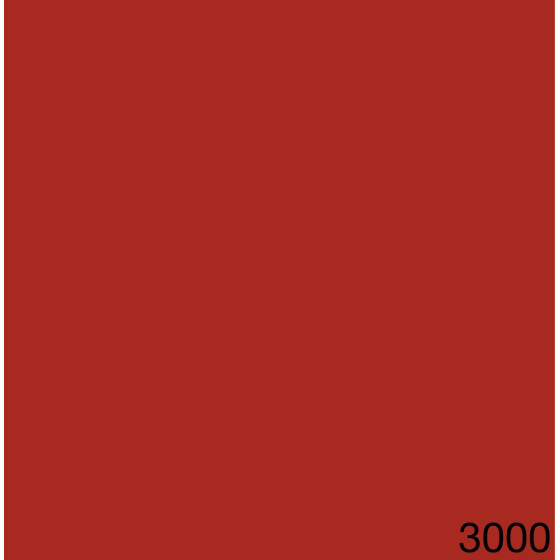 3000