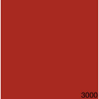 3000