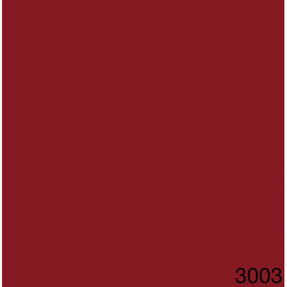3003