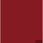 3003