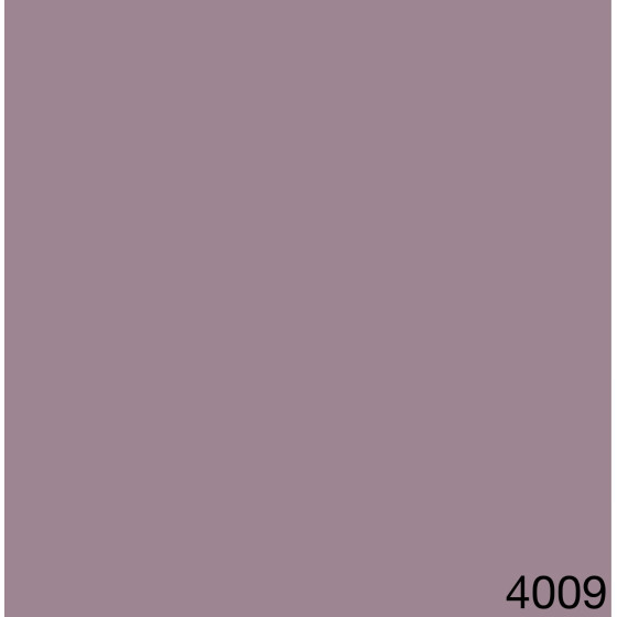 4009