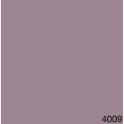 4009