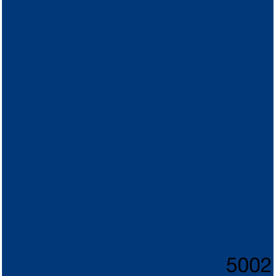 5002