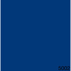 5002