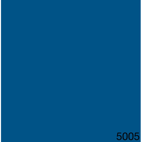5005