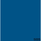 5005