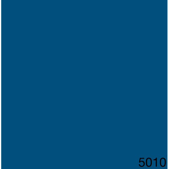 5010