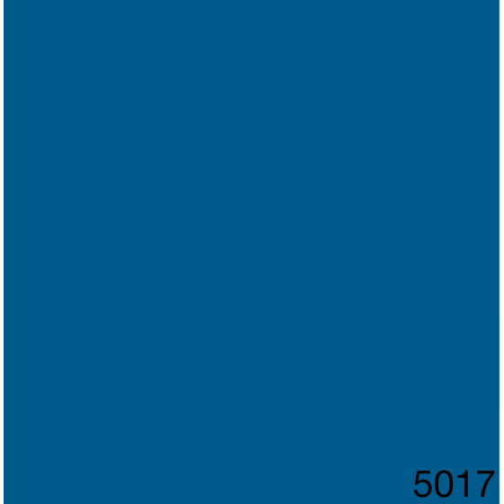 5017