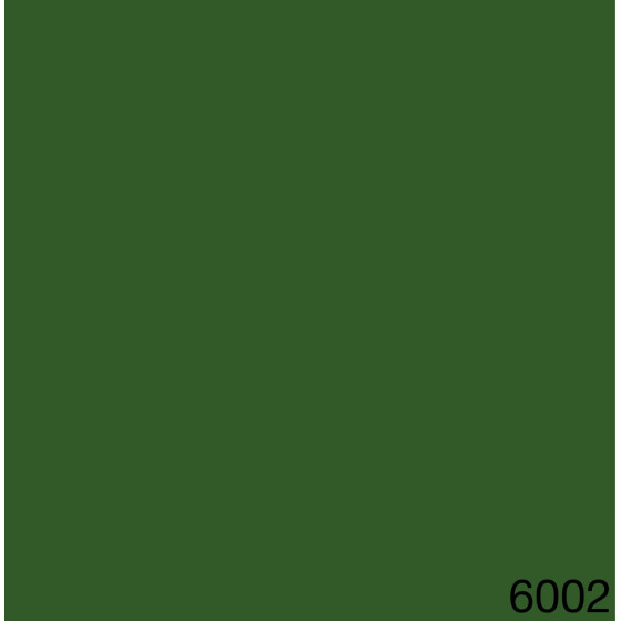 6002