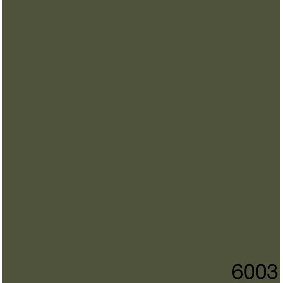 6003