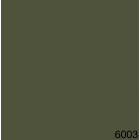 6003