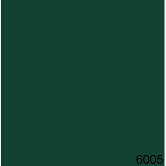 6005