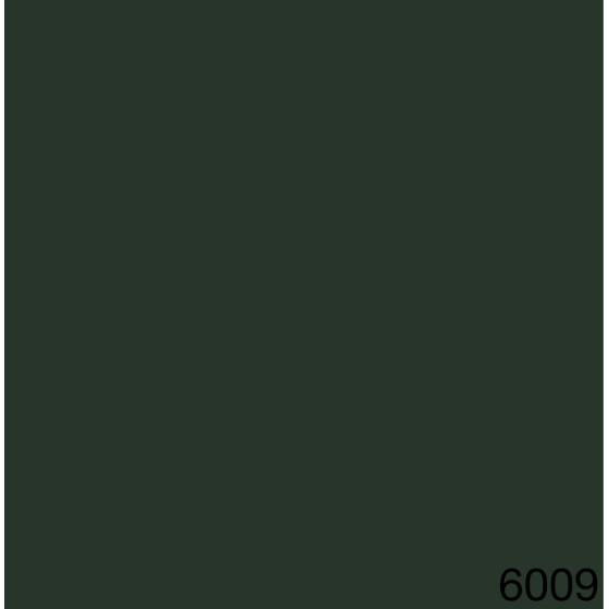 6009