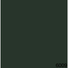 6009