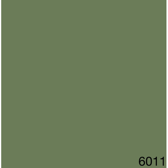 6011