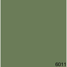 6011