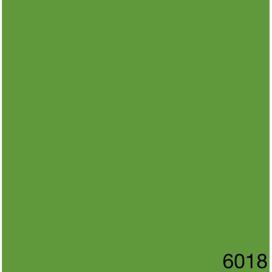 6018
