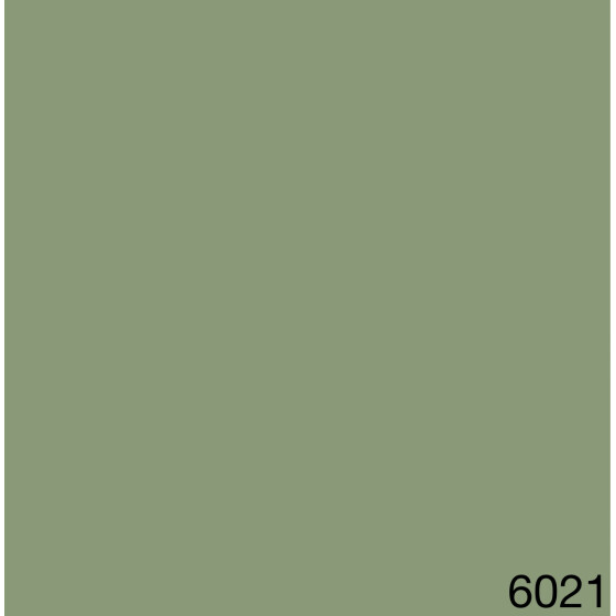 6021