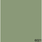 6021