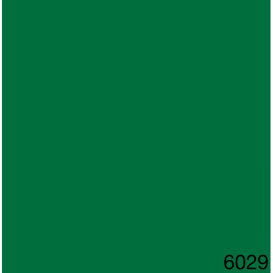 6029