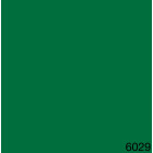 6029