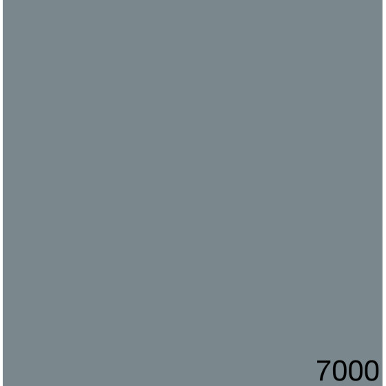 7000